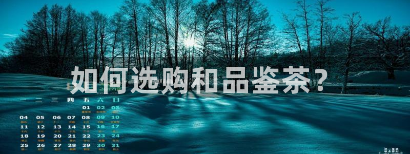 国际版摩登世界7