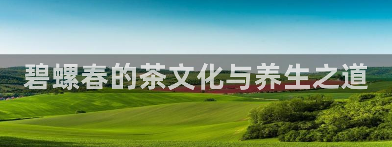 摩登7娱乐平台怎么样