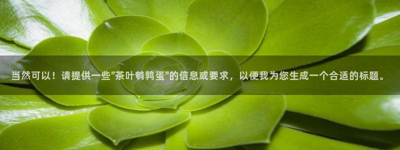 摩登7挂机