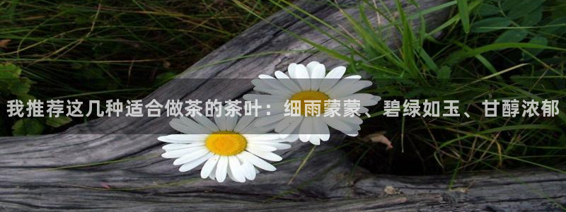 摩登平台视7O777