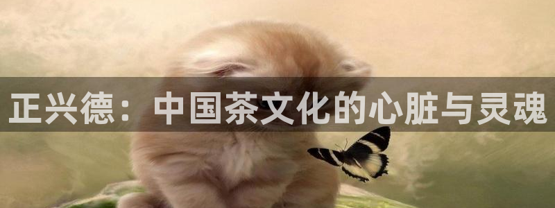 摩登7主管亲333OO