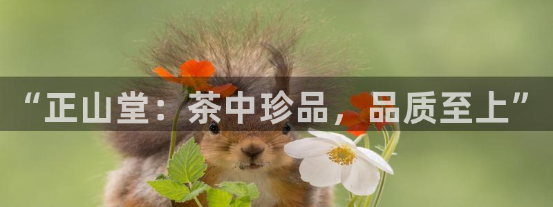 摩登6郑7O667