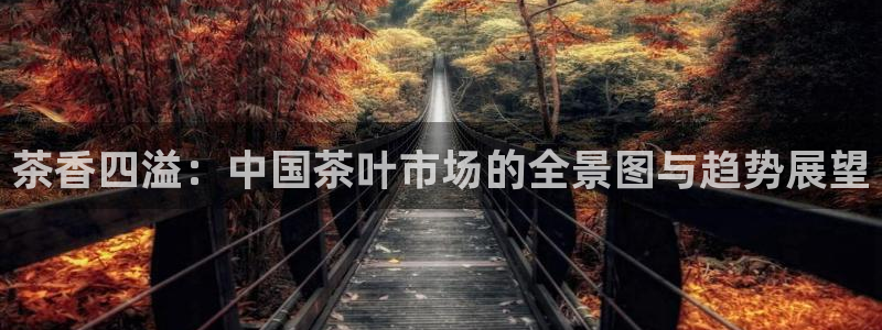 摩登7日