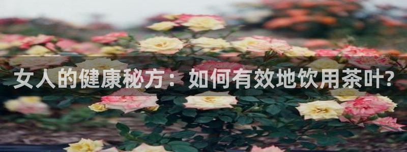 摩登7地7O667