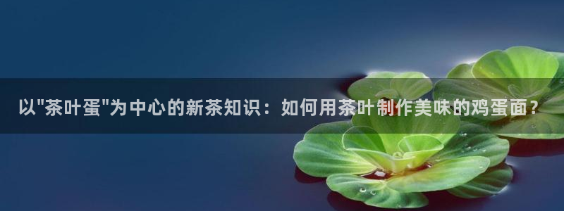 摩登6吕7O667