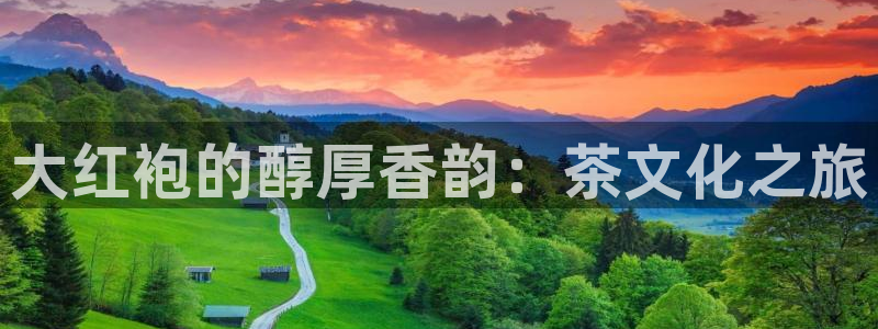 摩登7平台主管