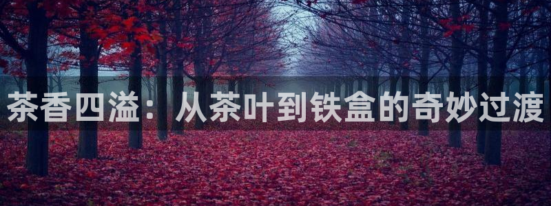 摩登7招商排名