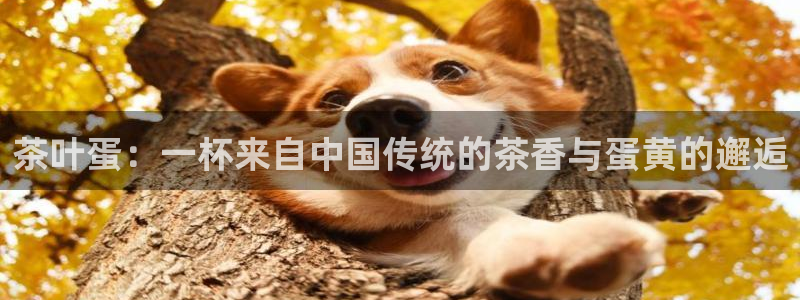摩登3月7O667