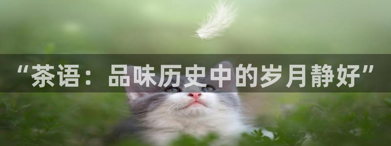 摩登7月7O667