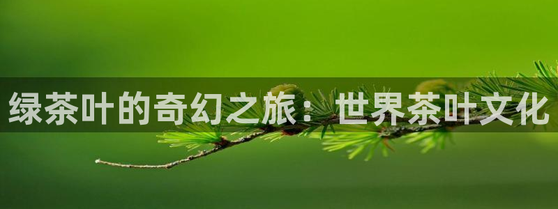 摩登7日7O667
