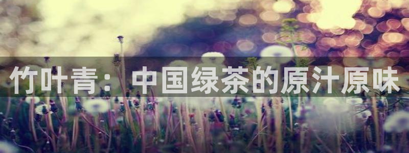 摩登7口碑
