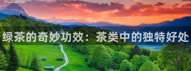 摩登7官方