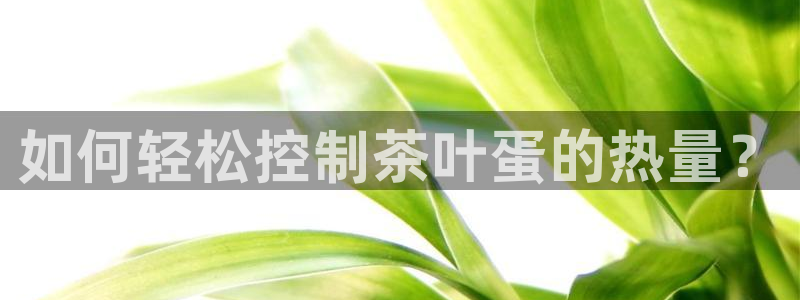 摩登6吕7O667
