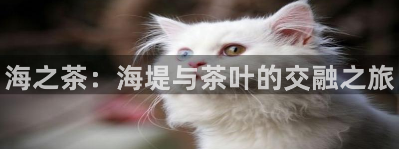 摩登3月7O667