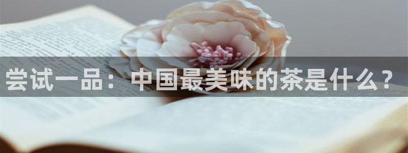 摩登7公司排名