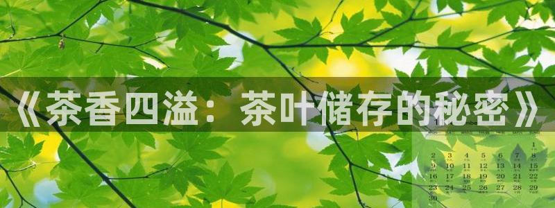 摩登4右7O667
