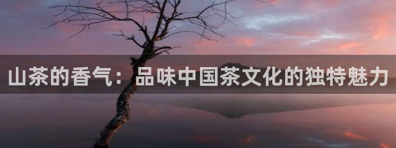 摩登7网站排名
