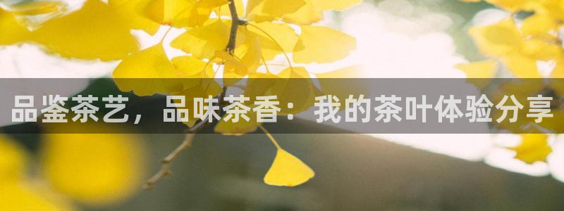 摩登7是什么