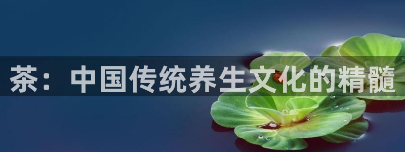 摩登4下7O667