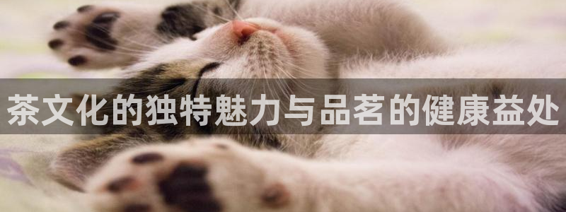摩登7官方