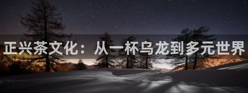 摩登4天7O667