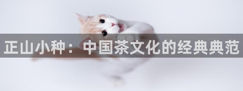 摩登口碑7