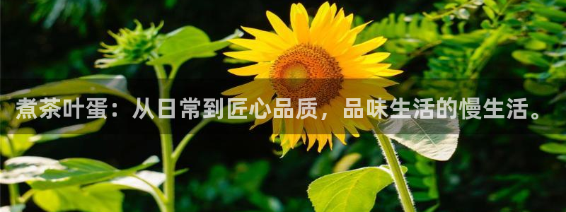 摩登3前7O667