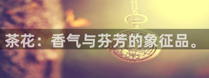 摩登7左