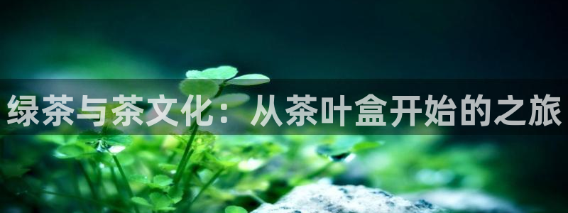 摩登7关