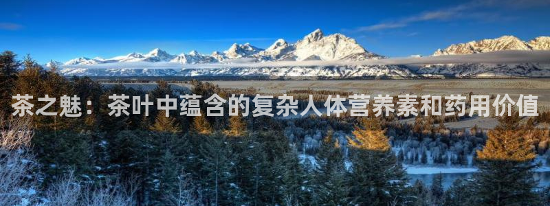 摩登7下载地址