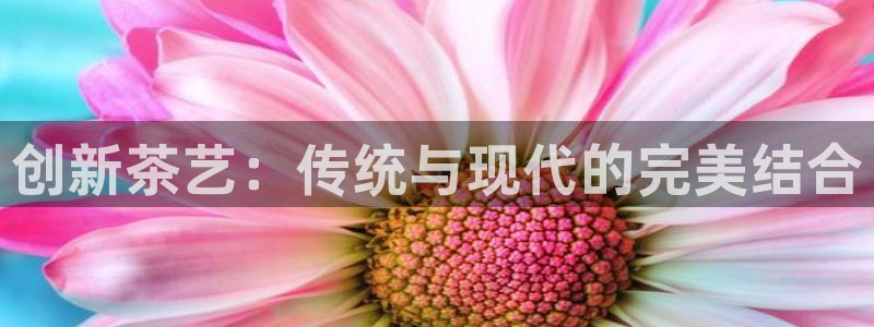 摩登4上7O667