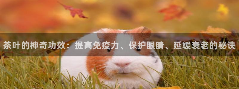 摩登7平台网址下载