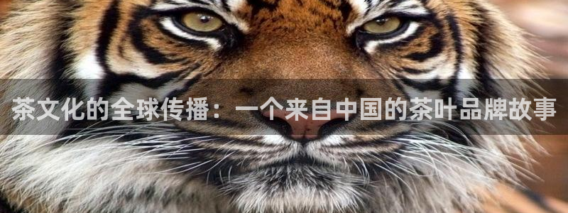 摩登7级