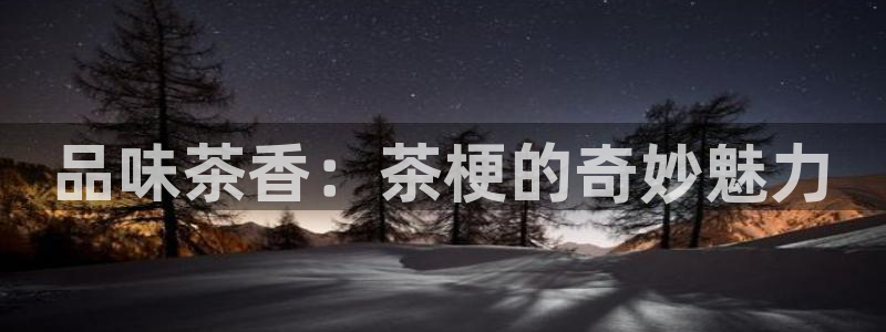 摩登3往找7O667