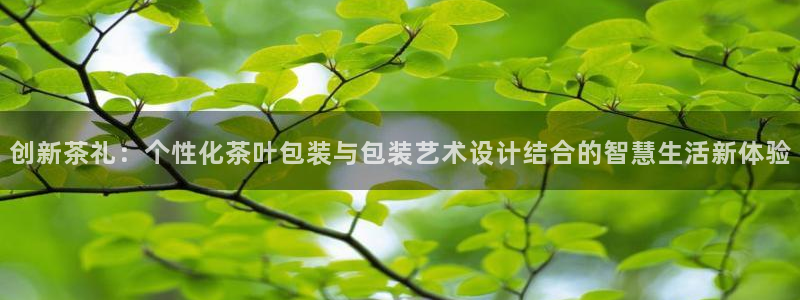 摩登4天7O667