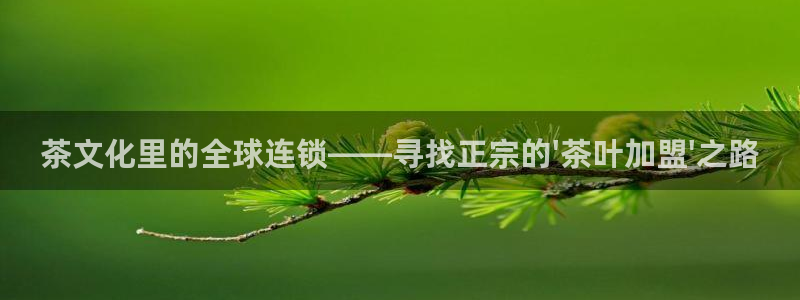 摩登7登陆平台