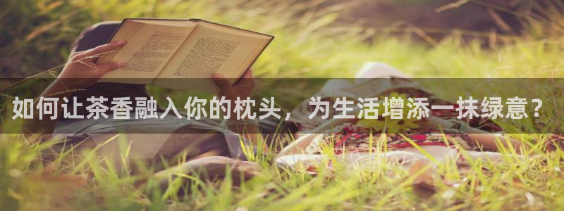 摩登4天7O667