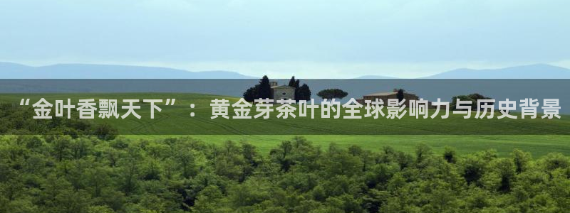 摩登7前7O667