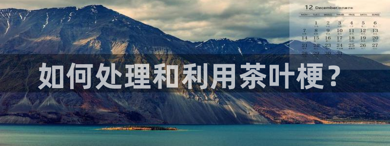摩登7高管