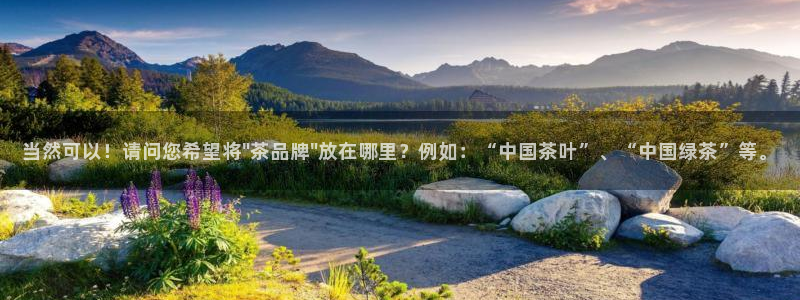 摩登7直属