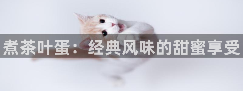 摩登7彩票平台是啥