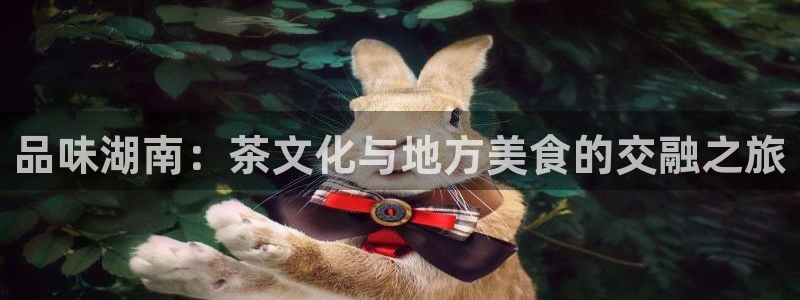 摩登7上级