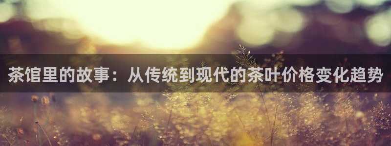 摩登7招商主管