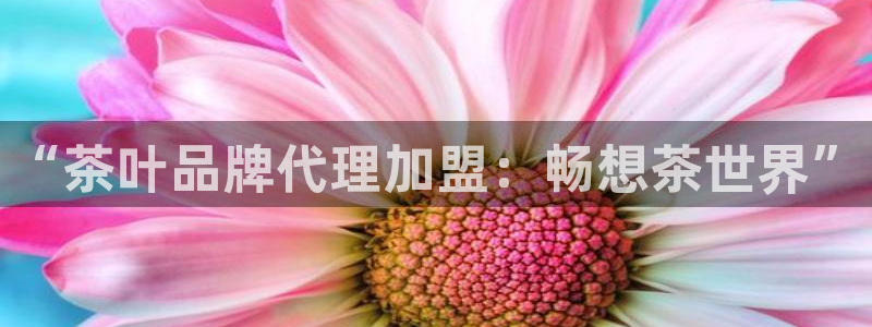 摩登7平台app
