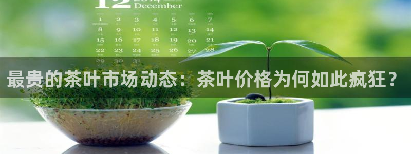 摩登7关