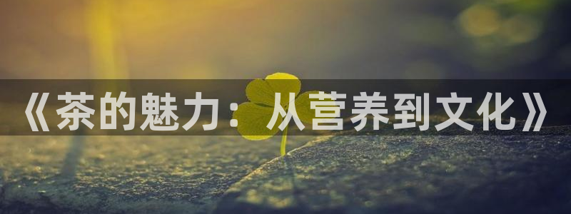 摩登6月7O667