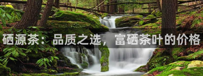 摩登7平台登陆